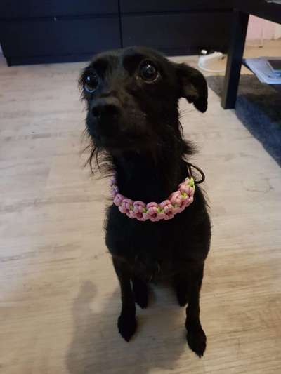 Bettel Blicke-Beitrag-Bild