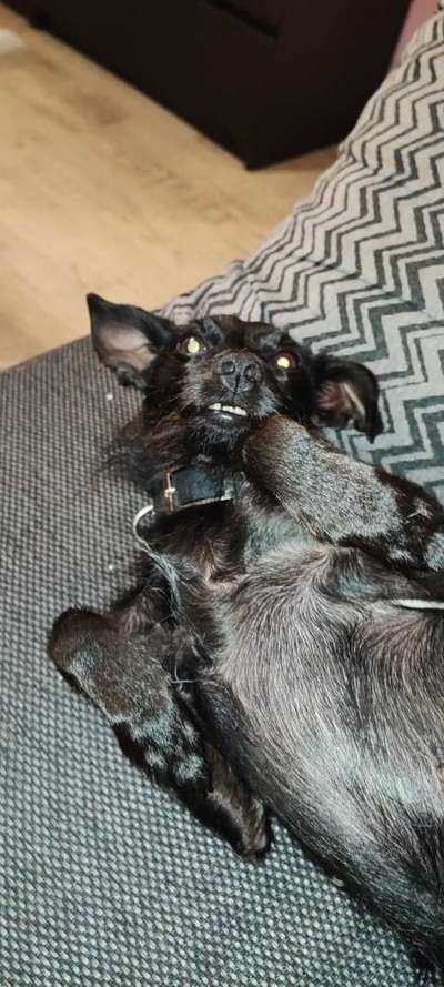 20. Handy -Foto-Callenge-Beitrag-Bild