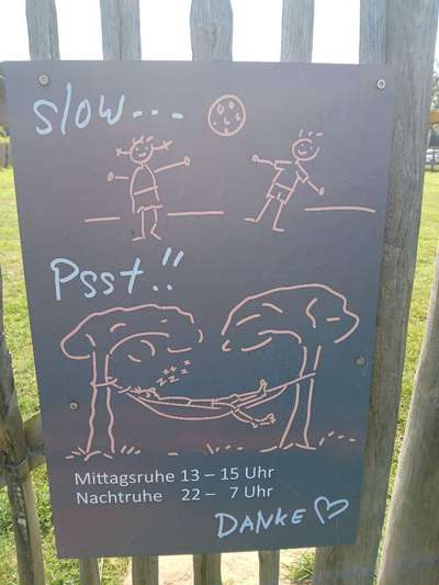 Hundeauslaufgebiet-Tiemann's Hundewiese-Bild