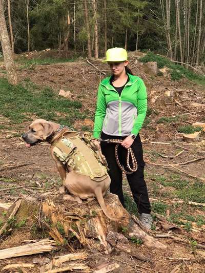 Gassi gehen! Aber wo?-Beitrag-Bild