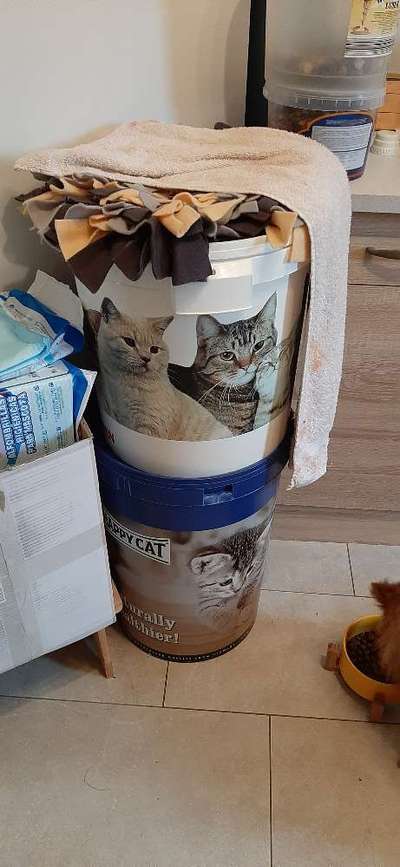 Hundefutter zu verschenken  ist nicht mehr da.-Beitrag-Bild