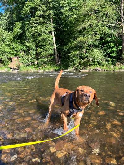 Schöne Badestellen-Beitrag-Bild