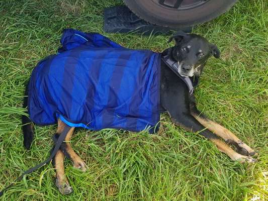 Zitate aus Film und Fernsehen-Beitrag-Bild