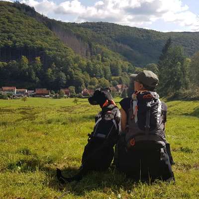 Lasst uns träumen! Auszeit für immer-Beitrag-Bild