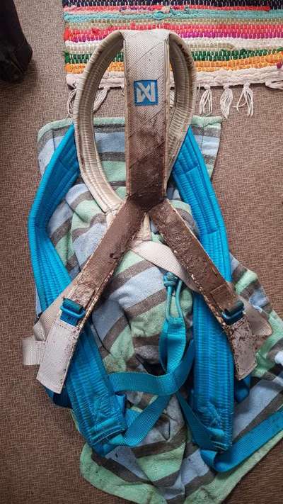 TierschutzhundeStammtisch🐕-Beitrag-Bild