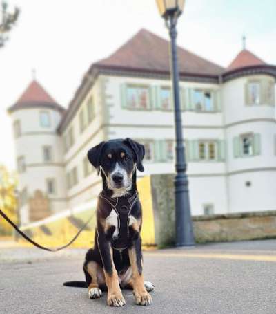 Lieblingsbild-Beitrag-Bild