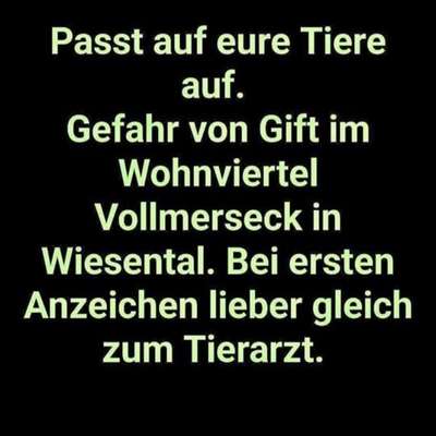 Giftköder-Gift-Bild
