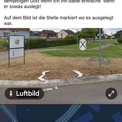 Giftköder-Vergiftete Würstchen-Bild