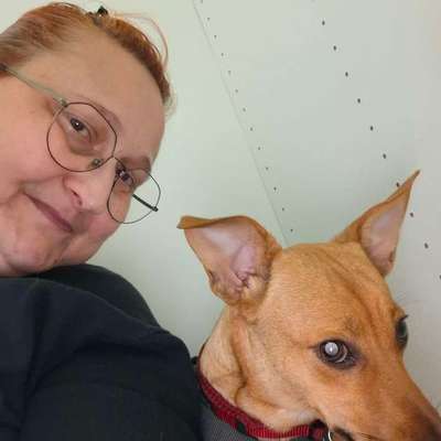 aktuelles Foto Gruppe Analdrüse oder Analbeutelentzündung Probleme 🍀❤️‍🩹🐶🙈