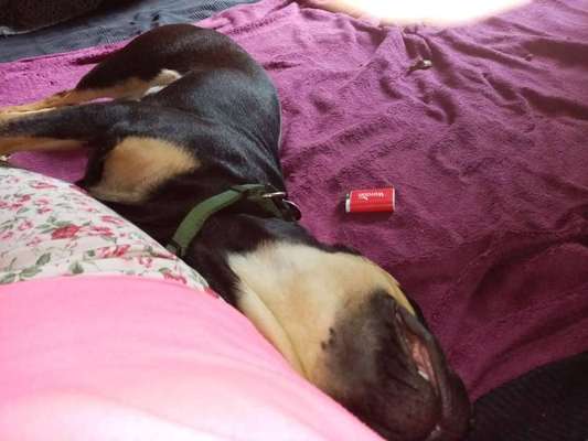 Die unbequemsten und lustigsten Schlafpositionen-Beitrag-Bild