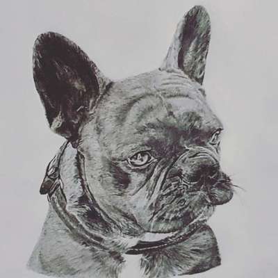 Zeichnungen Eurer Hunde !?-Beitrag-Bild