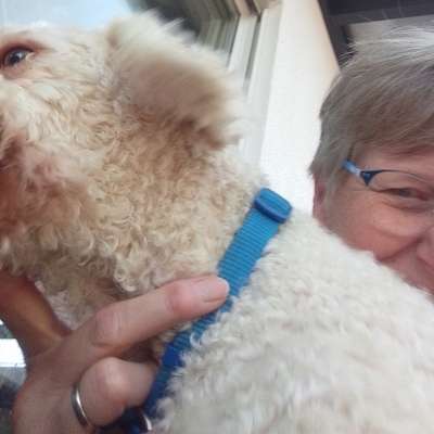 Petra's Profilbild