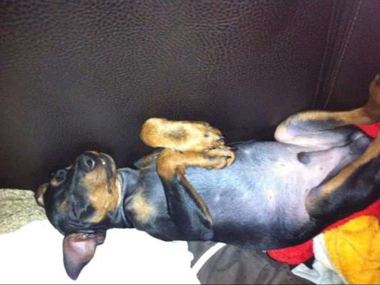 Fotochallange Nummer 5-Beitrag-Bild