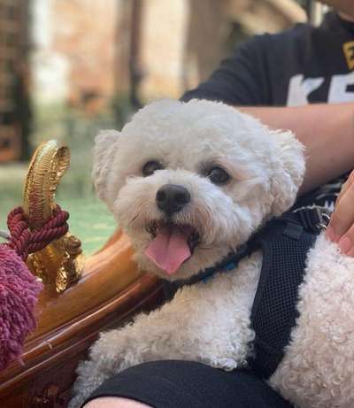 Handyfoto challenge Nr. 13: Waschlappen raus!-Beitrag-Bild