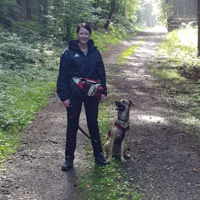 Hundetreffen-Trainingsgruppe / Hundebegnung-Profilbild