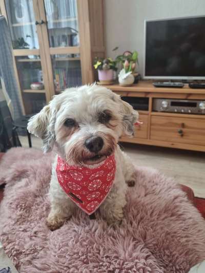 11. Farben Foto Challenge Rot-Beitrag-Bild