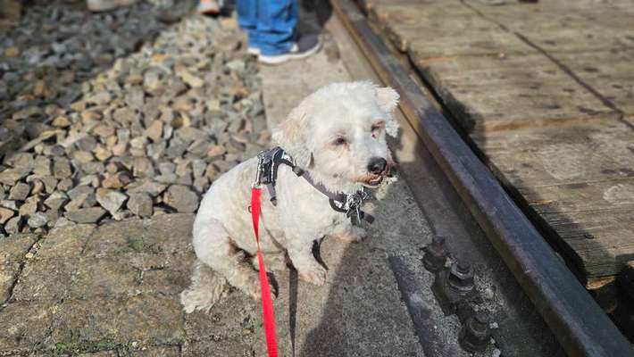 Vor dem Friseur - nach dem Friseur-Beitrag-Bild