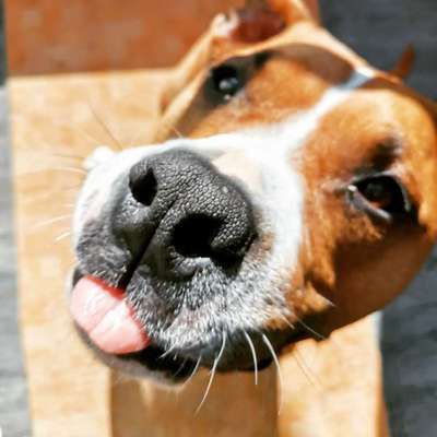 Handyfoto challenge Nr. 13: Waschlappen raus!-Beitrag-Bild