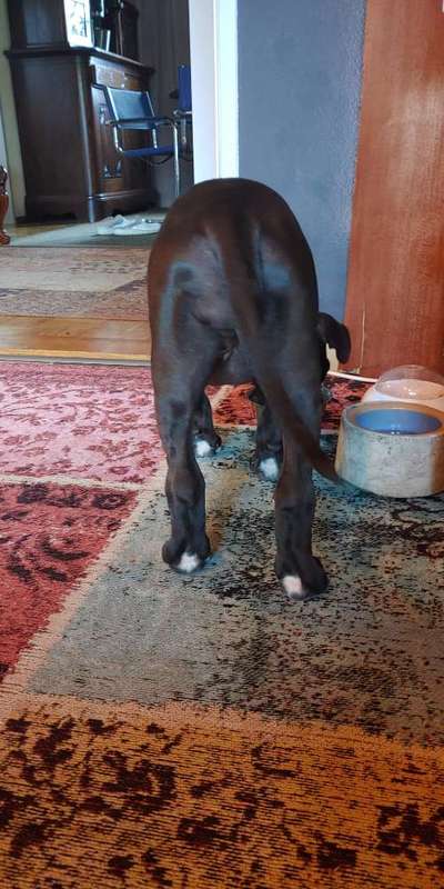 Blick fürs Detail!-Beitrag-Bild