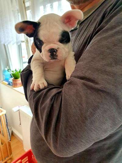 Das erste Foto-Beitrag-Bild