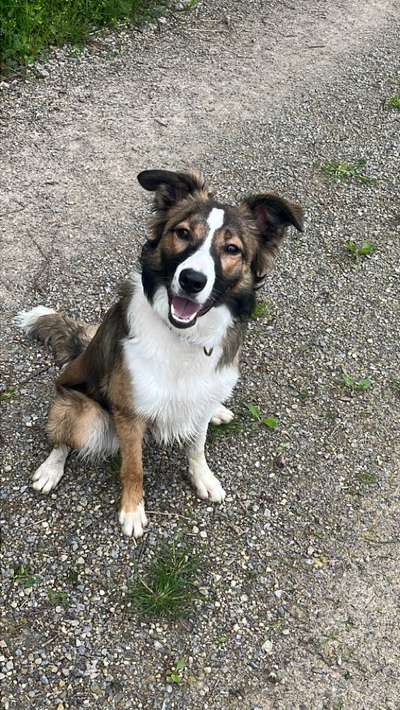 Ist das ein...?-Beitrag-Bild