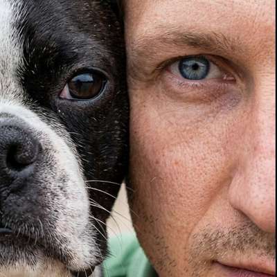 Dominik's Profilbild