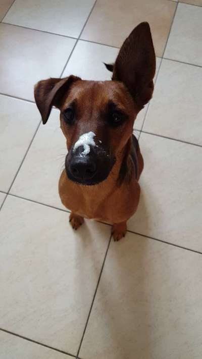 Lustige Bilder-Beitrag-Bild