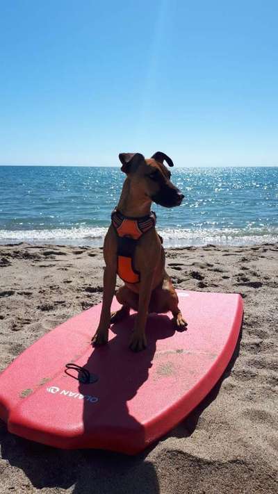 Eure Strandbilder :)-Beitrag-Bild