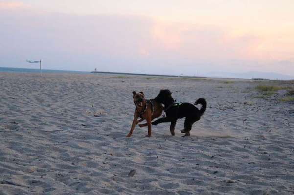 Eure Strandbilder :)-Beitrag-Bild