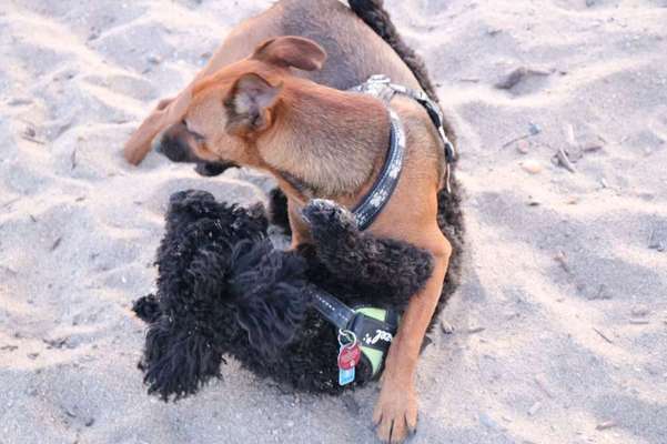 Eure Strandbilder :)-Beitrag-Bild