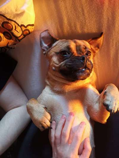 Lustige Grimassen & verrückte Posen-Beitrag-Bild