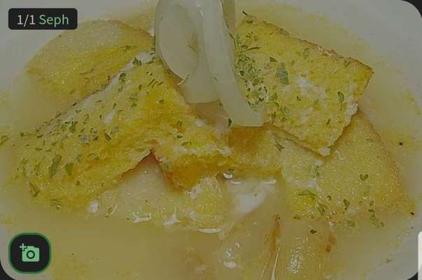 Wie heißt dein Hund?-Beitrag-Bild