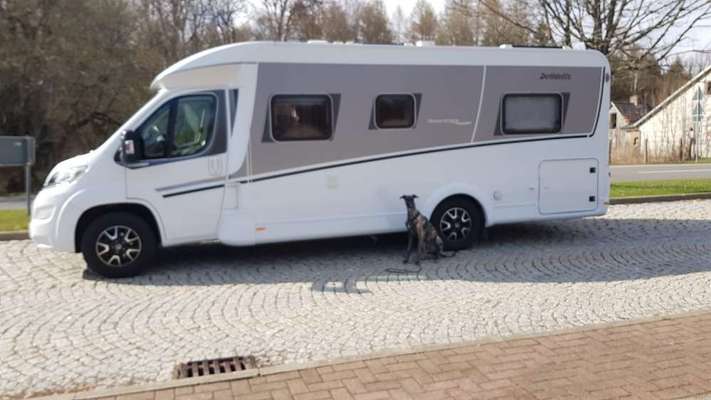 Windhunde - Treffen der besonderen Schönheiten
HERZLICH WILLKOMMEN-Beitrag-Bild