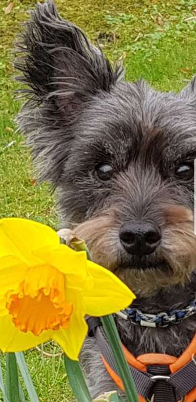 Zeigt mir die tollste Nahaufnahme von eurer Fellnase-Beitrag-Bild