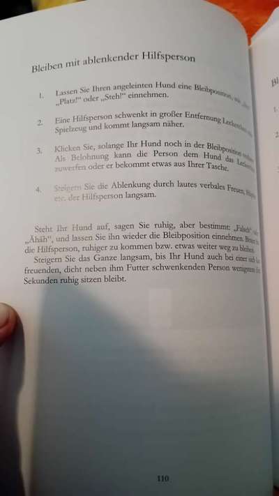 Windhunde - Treffen der besonderen Schönheiten
HERZLICH WILLKOMMEN-Beitrag-Bild