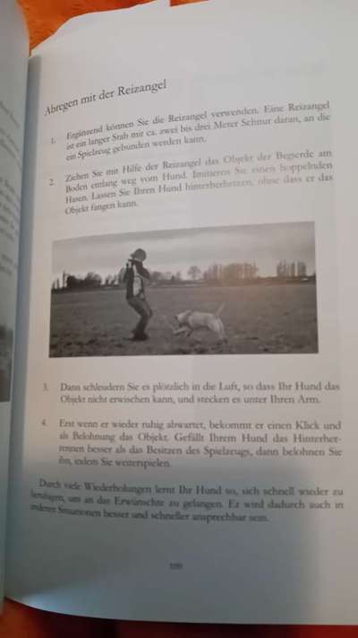 Windhunde - Treffen der besonderen Schönheiten
HERZLICH WILLKOMMEN-Beitrag-Bild