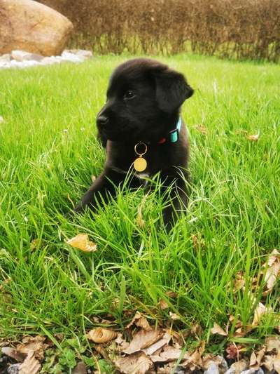 Unser Nachwuchs-Beitrag-Bild