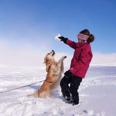 Fotochallenge 61 ~ Schnee-Beitrag-Bild