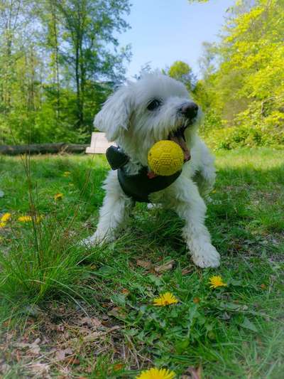 Foto Challenge Nr. 79-Beitrag-Bild