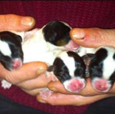 Das erste Foto-Beitrag-Bild