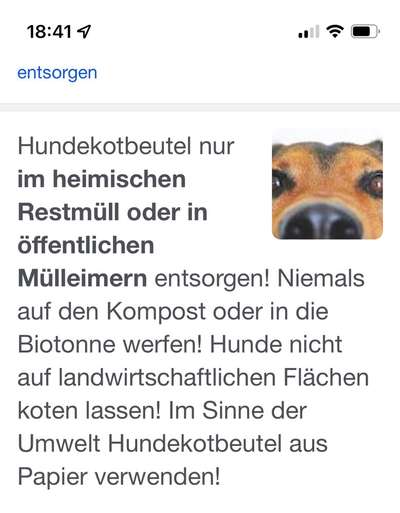 Hundehaltung und Klimawandel-Beitrag-Bild