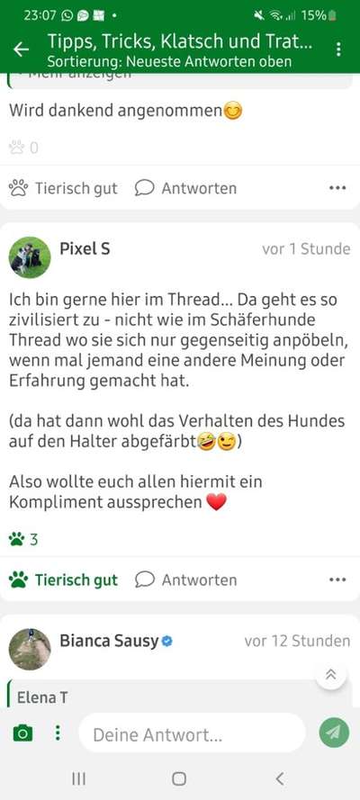 Alles rund um den Schäferhund, diskutieren erwünscht.-Beitrag-Bild