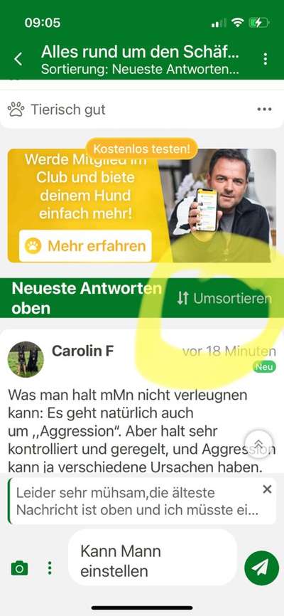 Alles rund um den Schäferhund, diskutieren erwünscht.-Beitrag-Bild