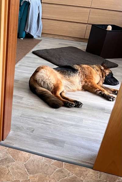 Wie kann man es so mögen bequem zu schlafen?-Beitrag-Bild