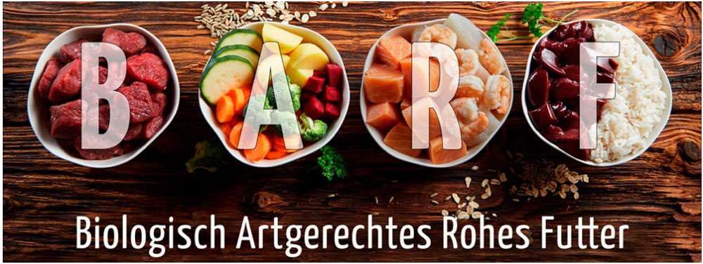 Muss morgens früh koten-Beitrag-Bild