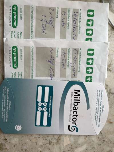 Tipps gegen Giardien?-Beitrag-Bild