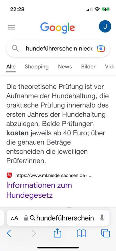 Aufklärungsarbeit beim Kauf eines Welpen-Beitrag-Bild