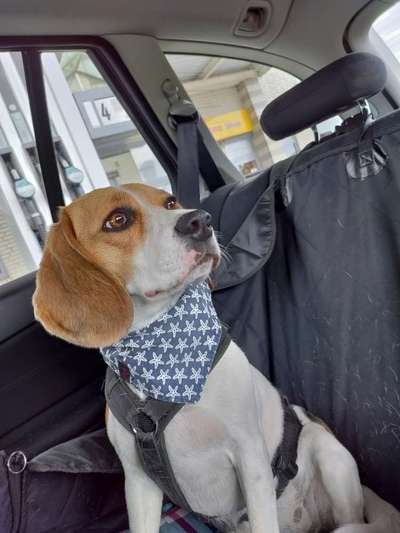 Fotochallenge 101:
On Tour-Beitrag-Bild