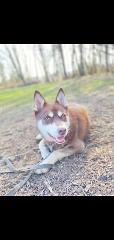 Zutreffende "Vorurteile"?-Beitrag-Bild