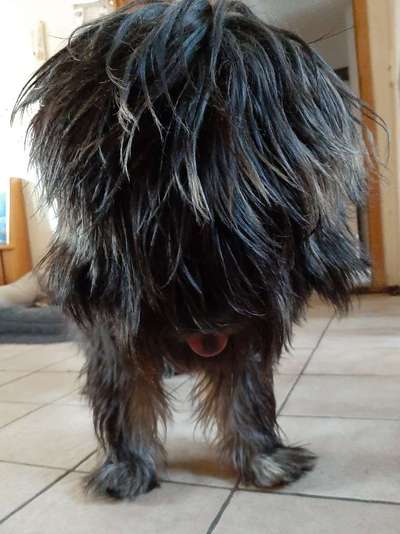 Lustige Grimassen & verrückte Posen-Beitrag-Bild